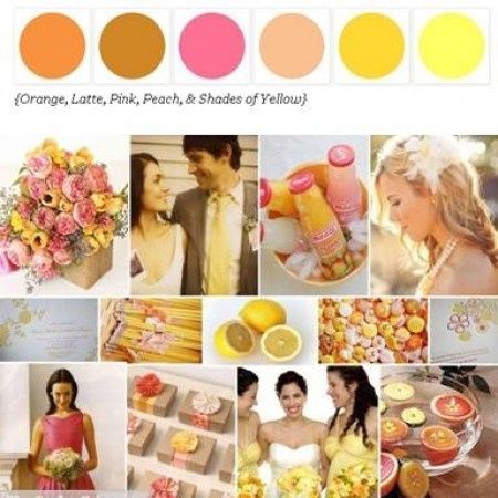 paleta de cores