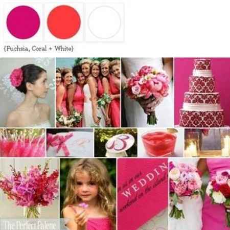 paleta de cores