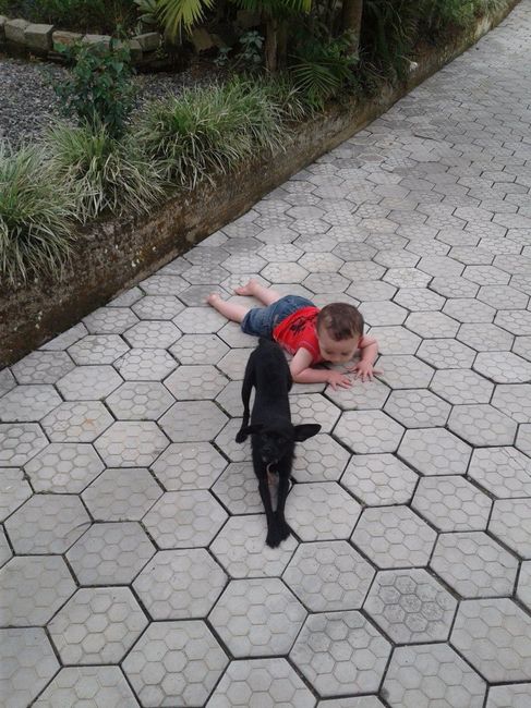 Meu chá de bebê temático: chuva de benção! 1