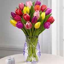 Tulipas coloridas