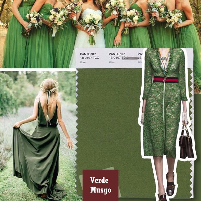 4-Verde e verde musgo