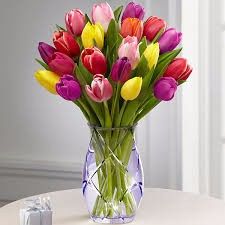 Tulipas coloridas