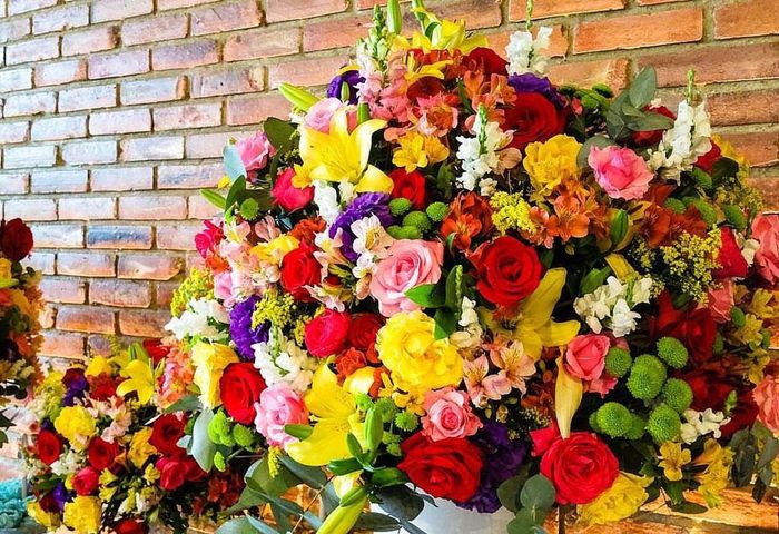 Flores coloridas