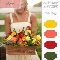 Paleta de Cores