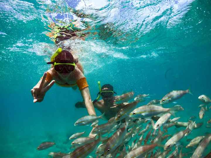 Mergulho em Maracajaú na lua de mel