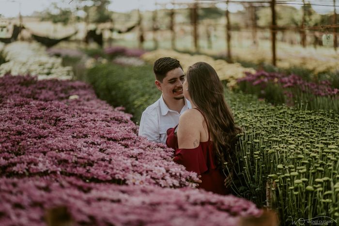 Pré Wedding em Holambra (SP) 3