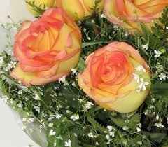 Rosas ambiance