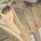 Lary
