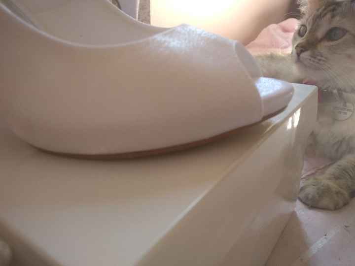 O sapato tem uma meia pata que faz com que o salto diminua uns centímetros