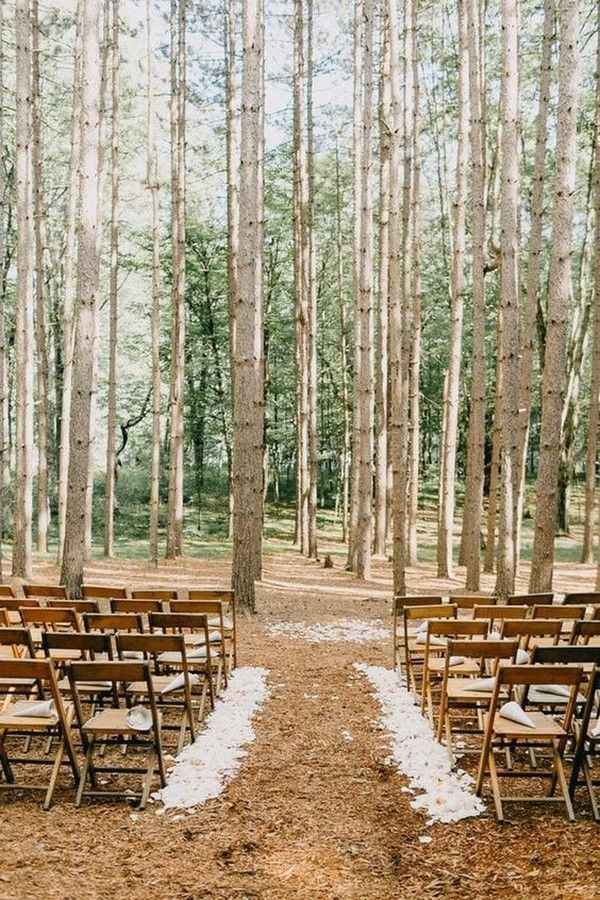 Casamento sem festa, apenas cerimonia na floresta