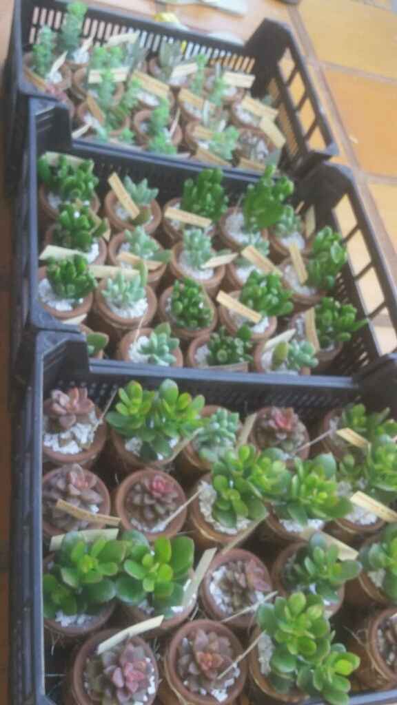 Lembracinhas prontas!!! - 2