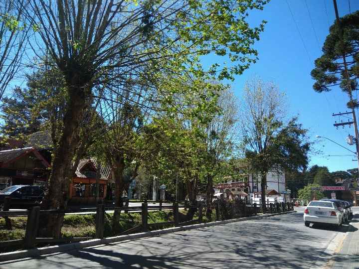Campos