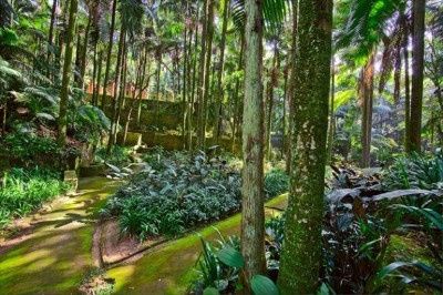 Parque Ecológico Guapituba