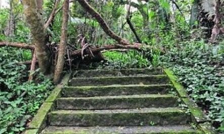 Parque Ecológico Guapituba