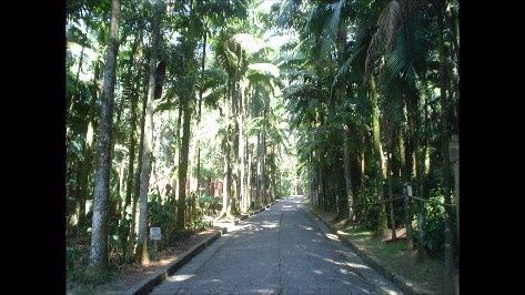 Parque Ecológico Guapituba