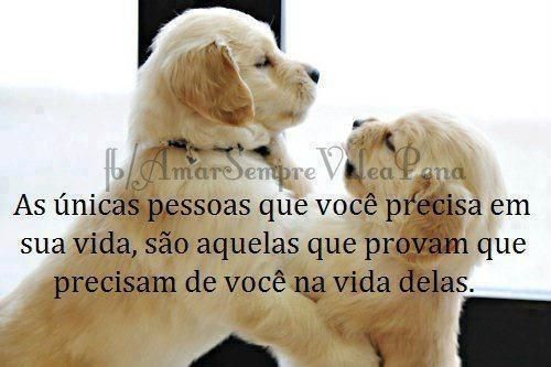 A mais pura verdade!
