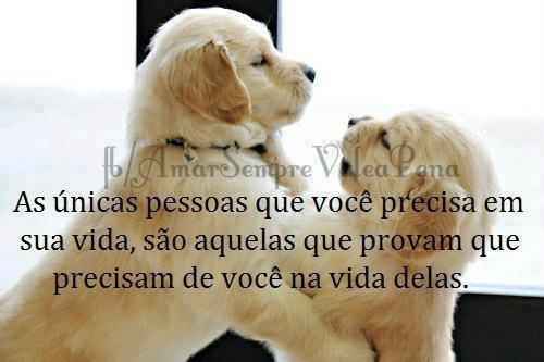 A mais pura verdade!