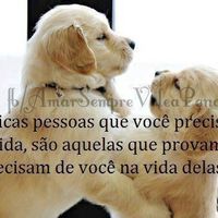 A mais pura verdade!