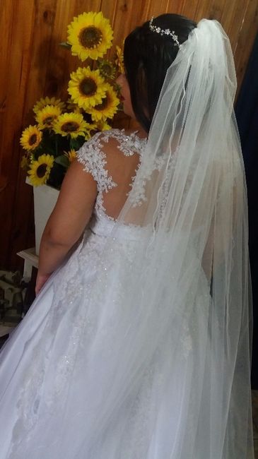 Meu vestido