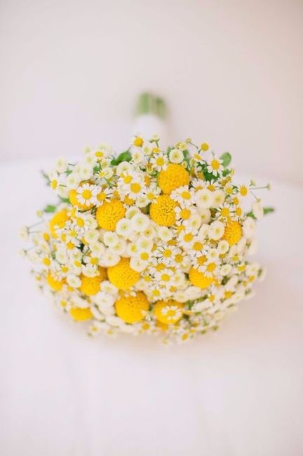 Se meu casamento fosse hoje,