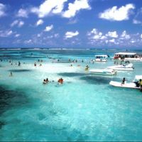 Me ajudem... #lua de mel - 1