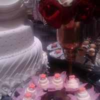Casando 2014 em Belem fotos - 1