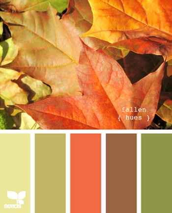 Cores para decoração