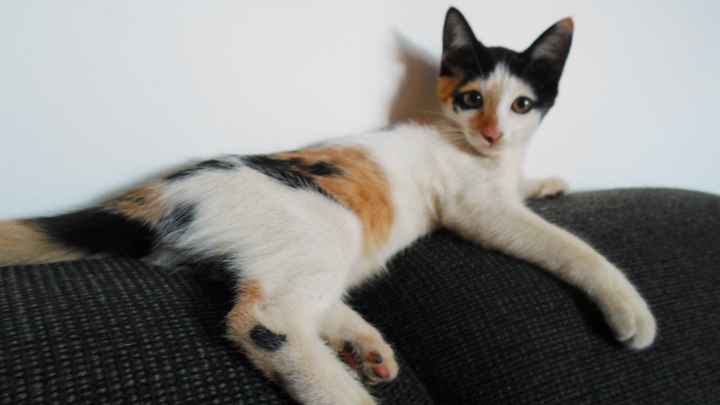 Nossa filha Maggie!