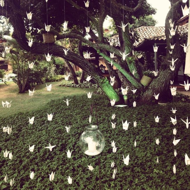 Cortina de Papel