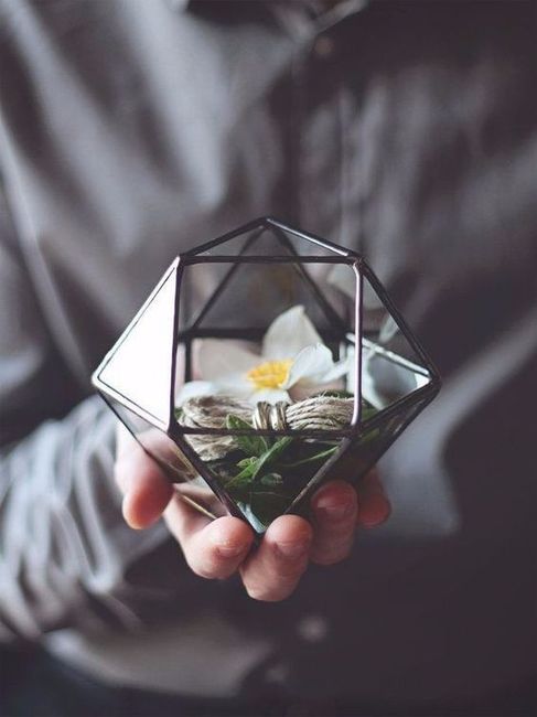 Inspiração 5
