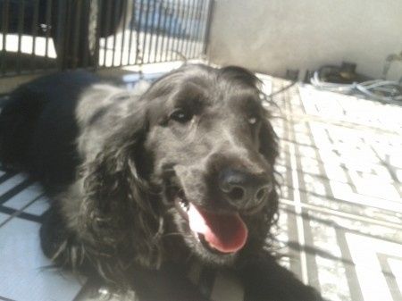 OLHA A NOSSA MASCOTTE
