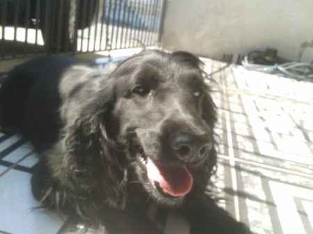 OLHA A NOSSA MASCOTTE
