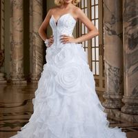 Vestido escolhido 