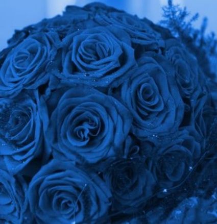 rosas azuis