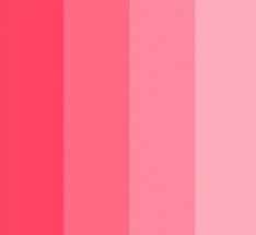 Paleta Rosa!