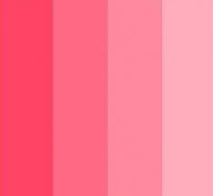 Paleta Rosa!