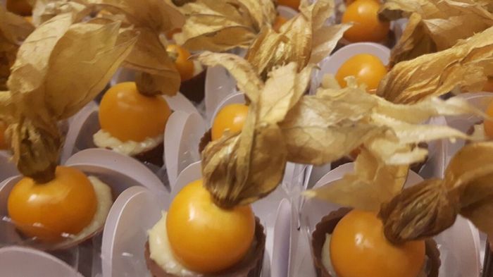 Physalis