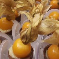 Physalis