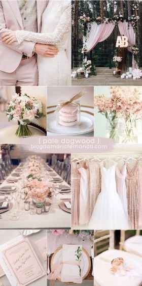 Pale dogwood