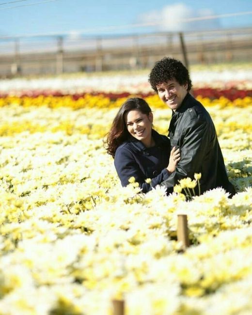 Campo das Flores
