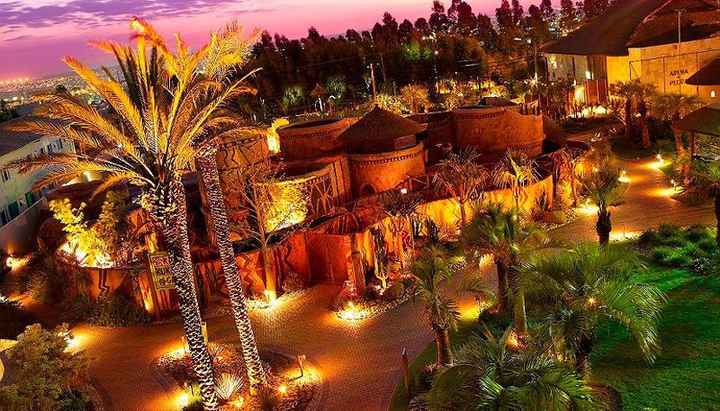 royal palm plaza