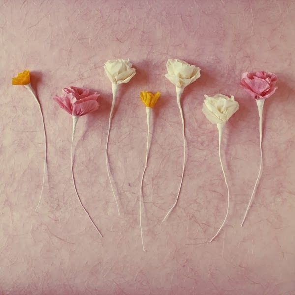 Flor Crepom - PAP