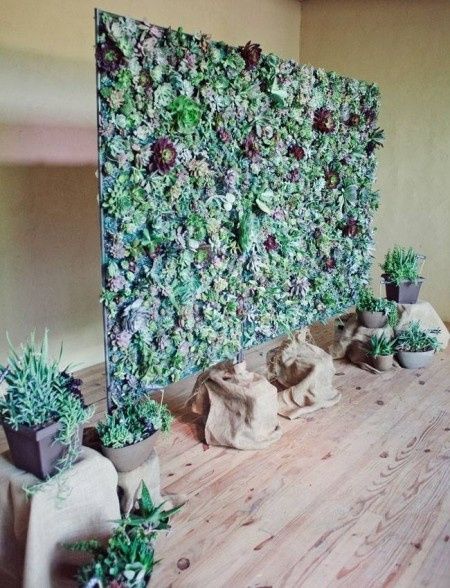 Eco-Chic Wedding