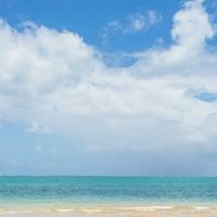 O Paraiso