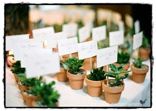 Plantas como lembrancinhas...é só para casamento no sítio ou não? - 1