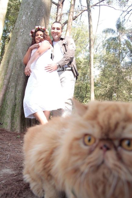 Meu pré-casamento