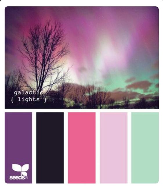 Novas inspirações paleta de cores - 5