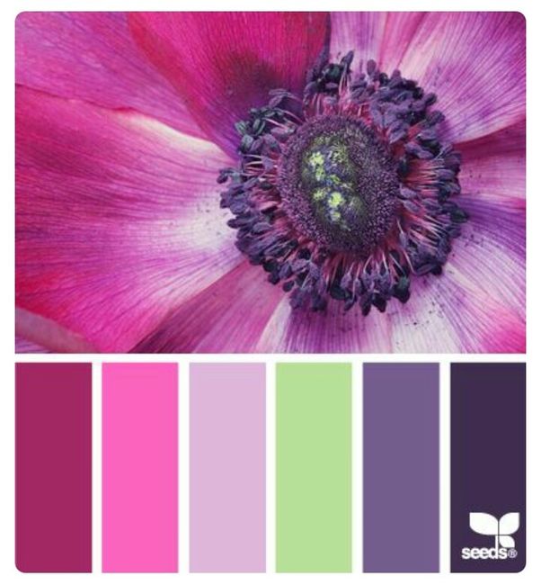 Novas inspirações paleta de cores - 9