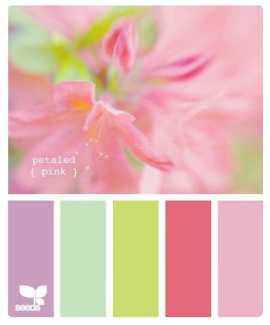 Novas inspirações paleta de cores - 10