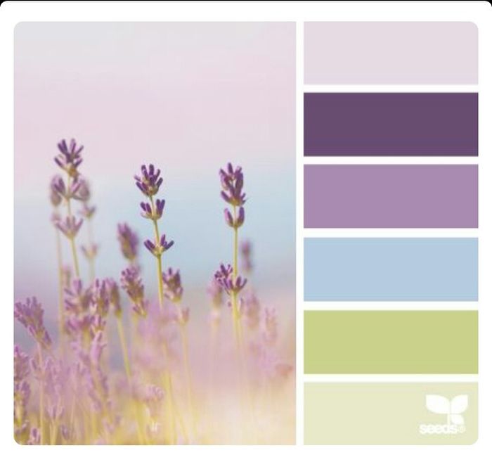Novas inspirações paleta de cores - 13